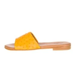 Women's Agave Sky Mustard Full Quill Ostrich Sandal -Outlet Cowgirl Looks Store MUST SANDAL 2 2514bce5 ee4a 47aa b71b d55fb027a509
